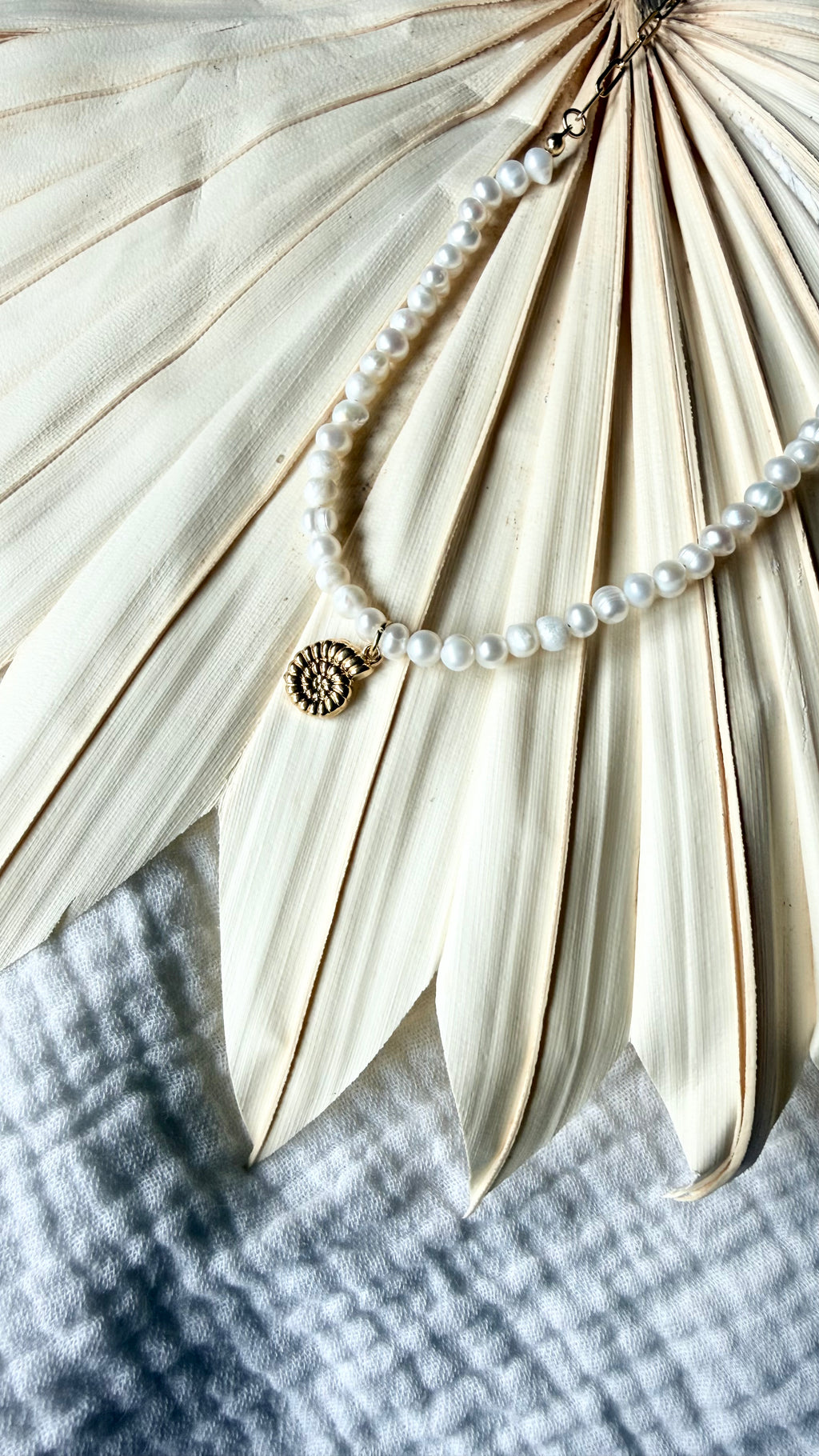 GLIEDERKETTE Pūpū