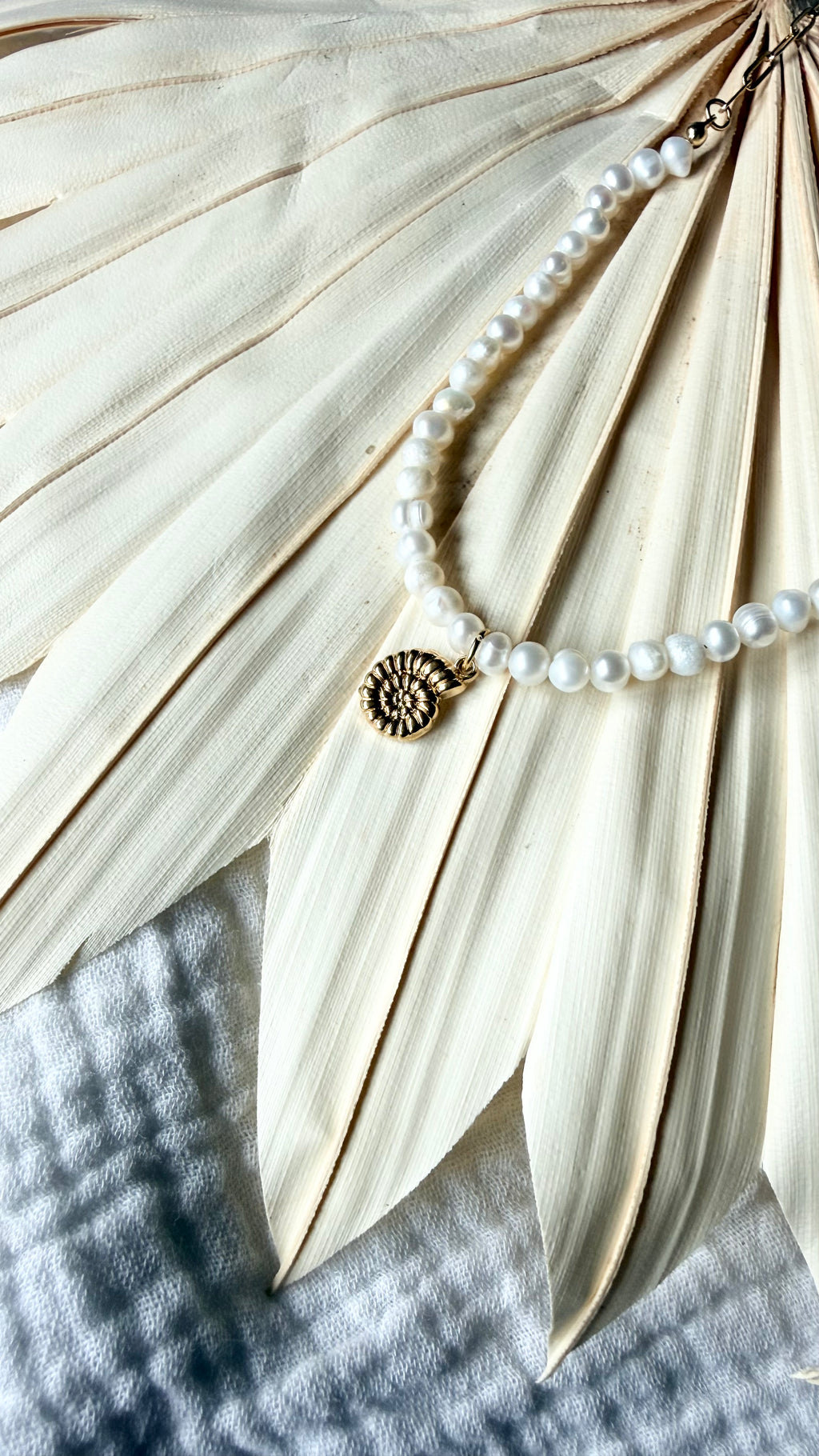 GLIEDERKETTE Pūpū
